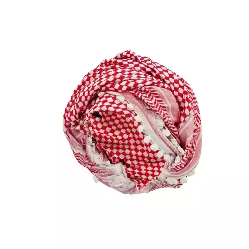 HeadScarf Delicate 3D model