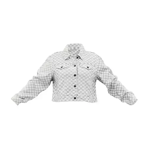 Grey Checkered Jacket 3D model