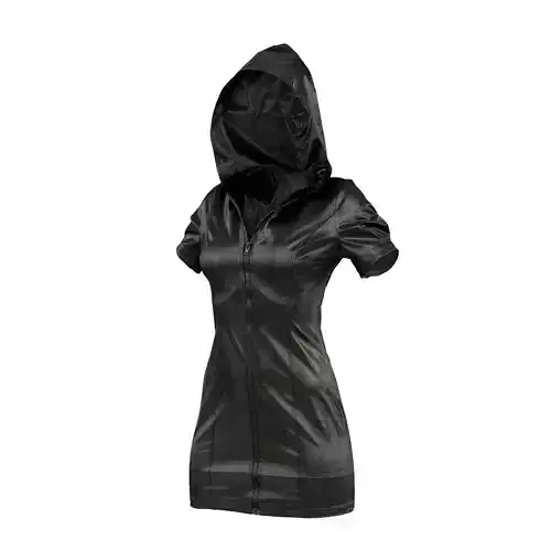 Hood Dress 3D model