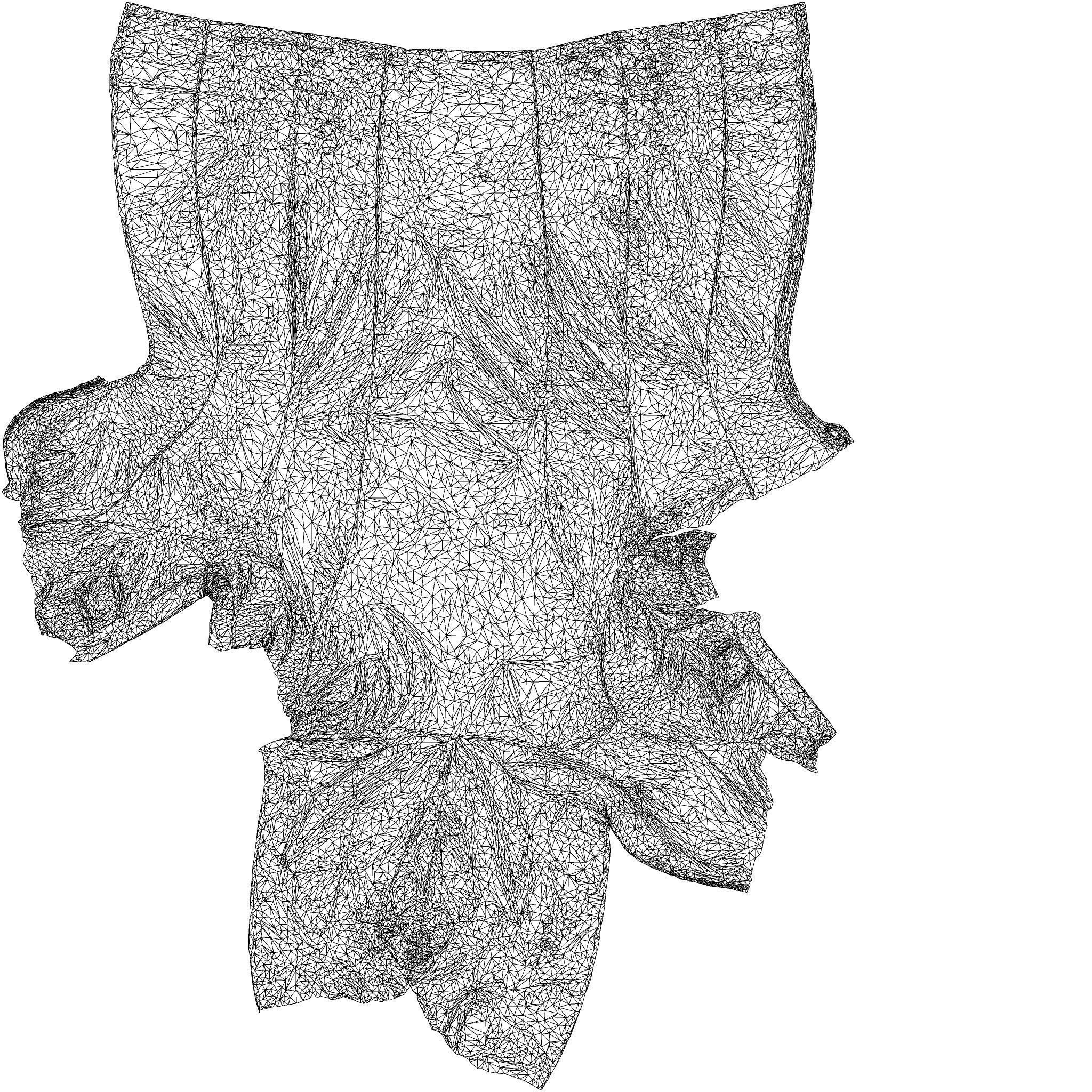 Hood Dress 3D model_8