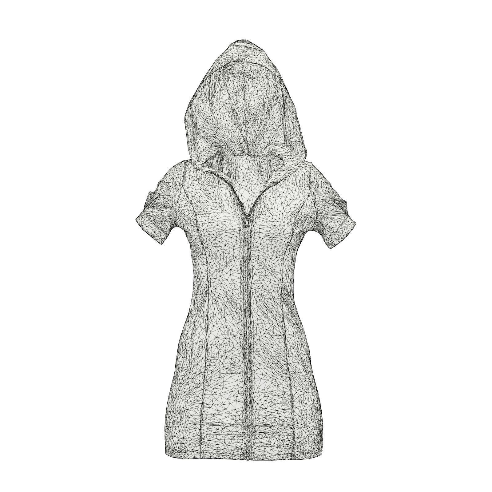 Hood Dress 3D model_6