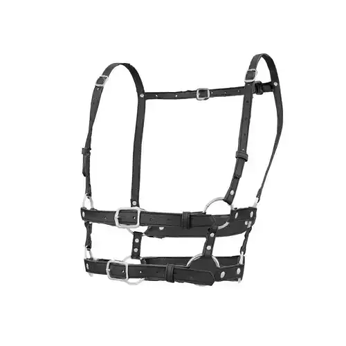 Leather Buckles Top 3D model