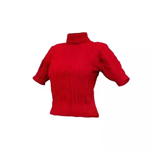 Knit Pull Top 3D model