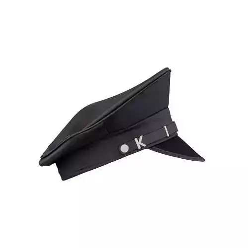Kinky Hat 3D model