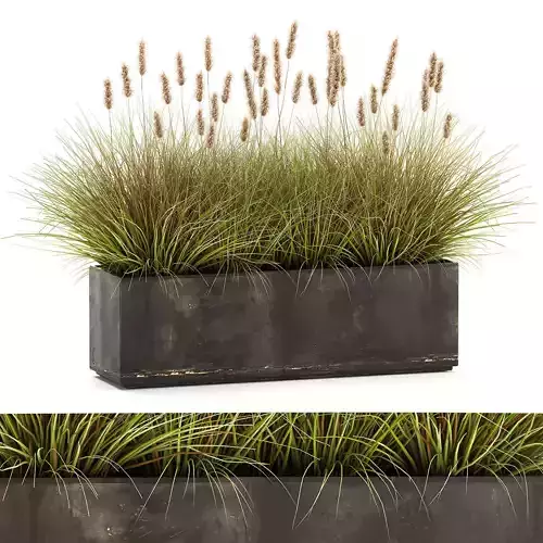 Reeds in a Flowerpot for the interior 904 3D model