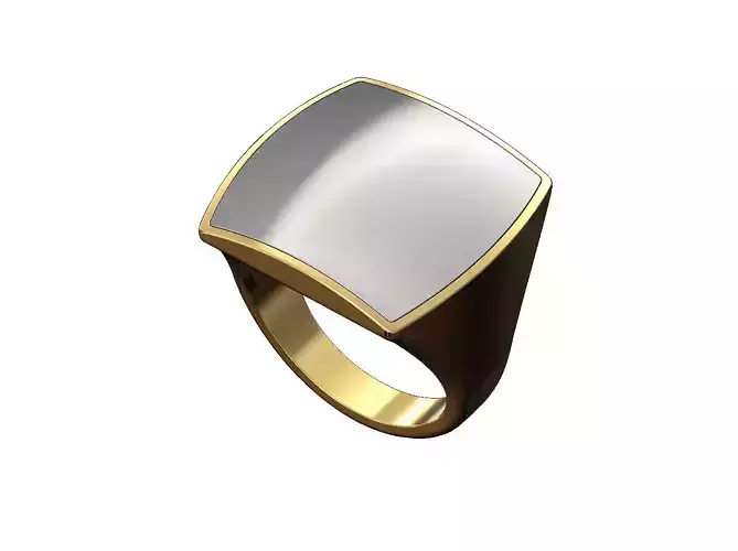 Large square 2 tone statement signet ring 