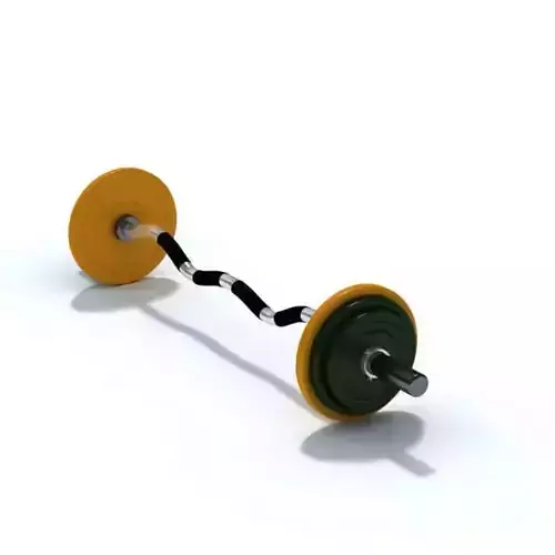 Gym Equipment   Barbell With Weights