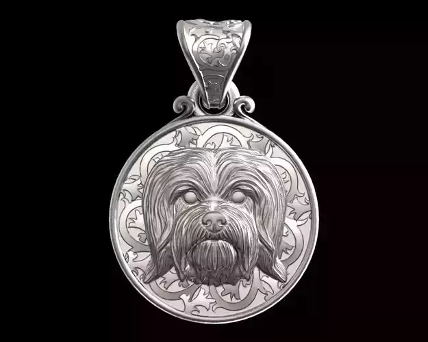 Dog Havanese dog bichon pendant  3D print model