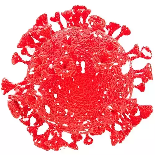 coronavirus corona virus