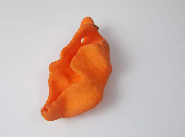 Fear Monitor Neurons 3D print model