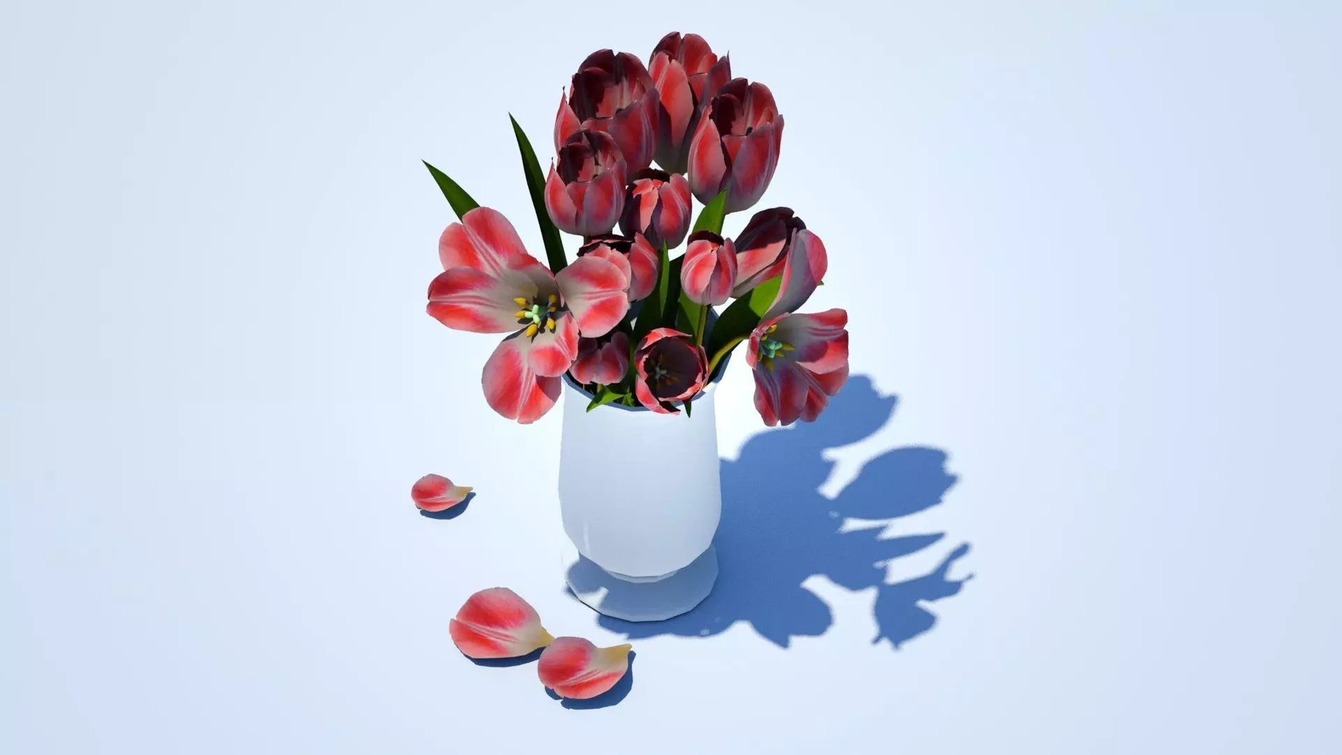tulip tulips in vase Free 3D model