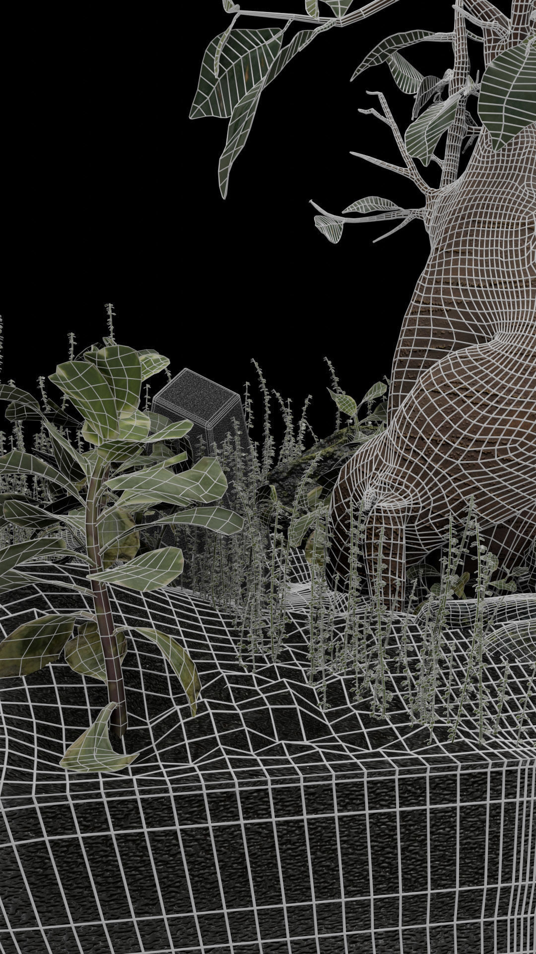 Bonsai terrarium 3D model_7