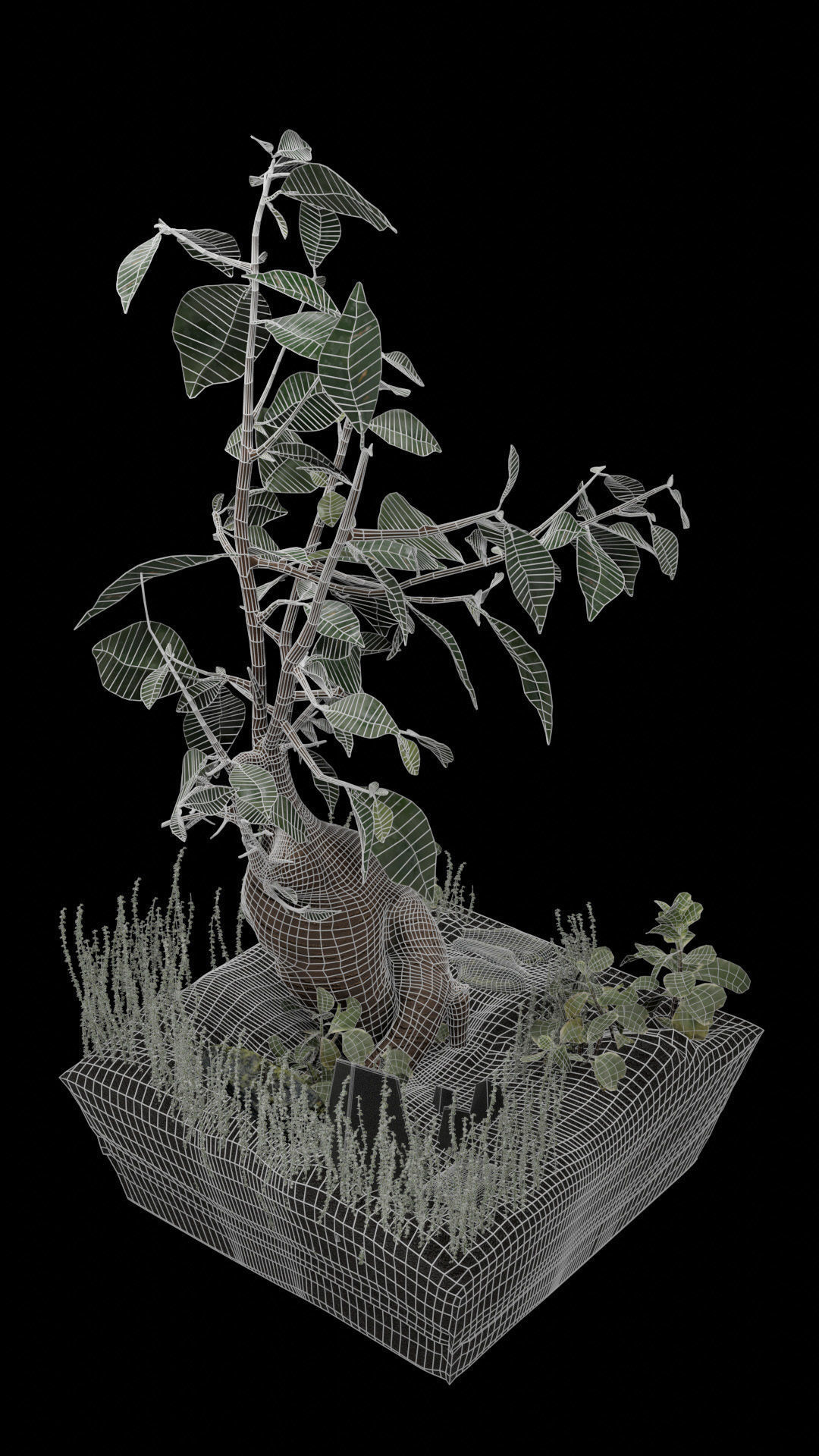 Bonsai terrarium 3D model_8