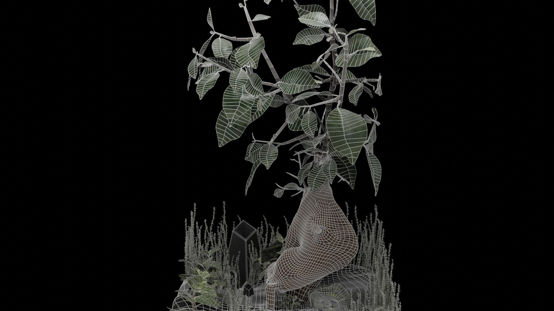 Bonsai terrarium 3D model_10