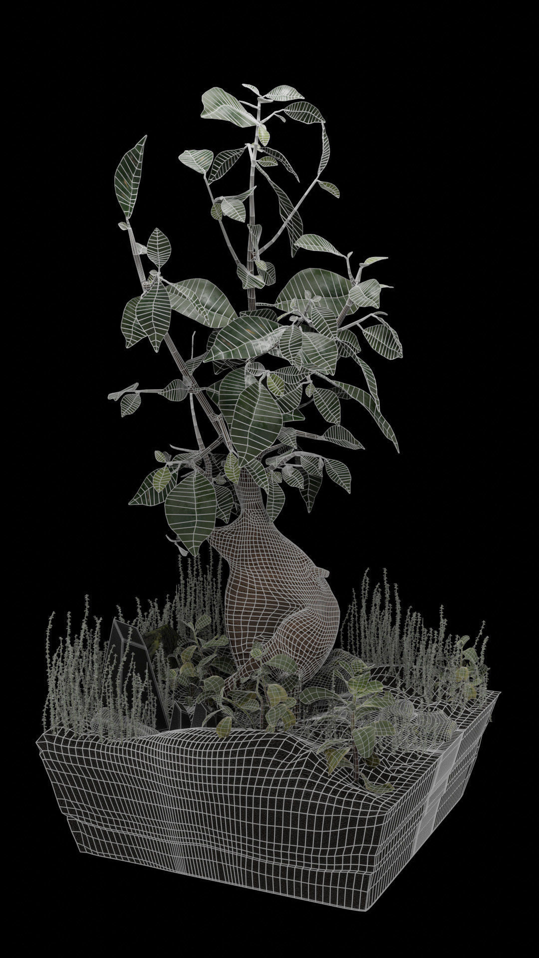 Bonsai terrarium 3D model_9