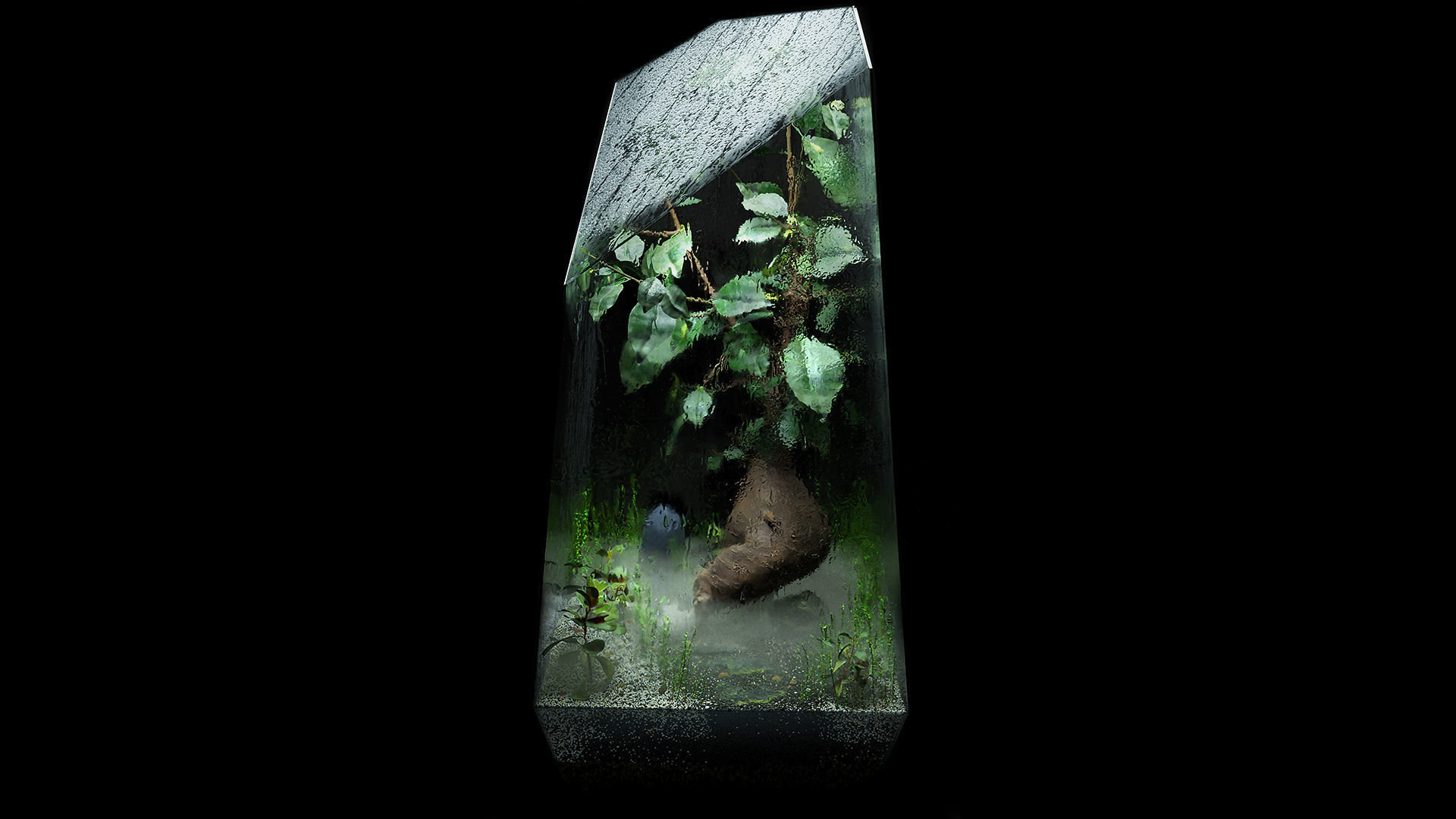 Bonsai terrarium 3D model_5