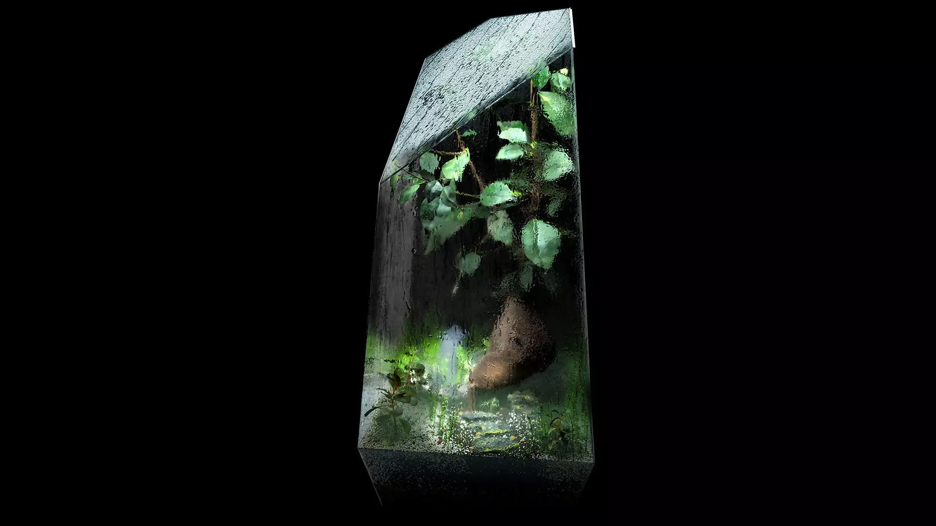 Bonsai terrarium 3D model_0