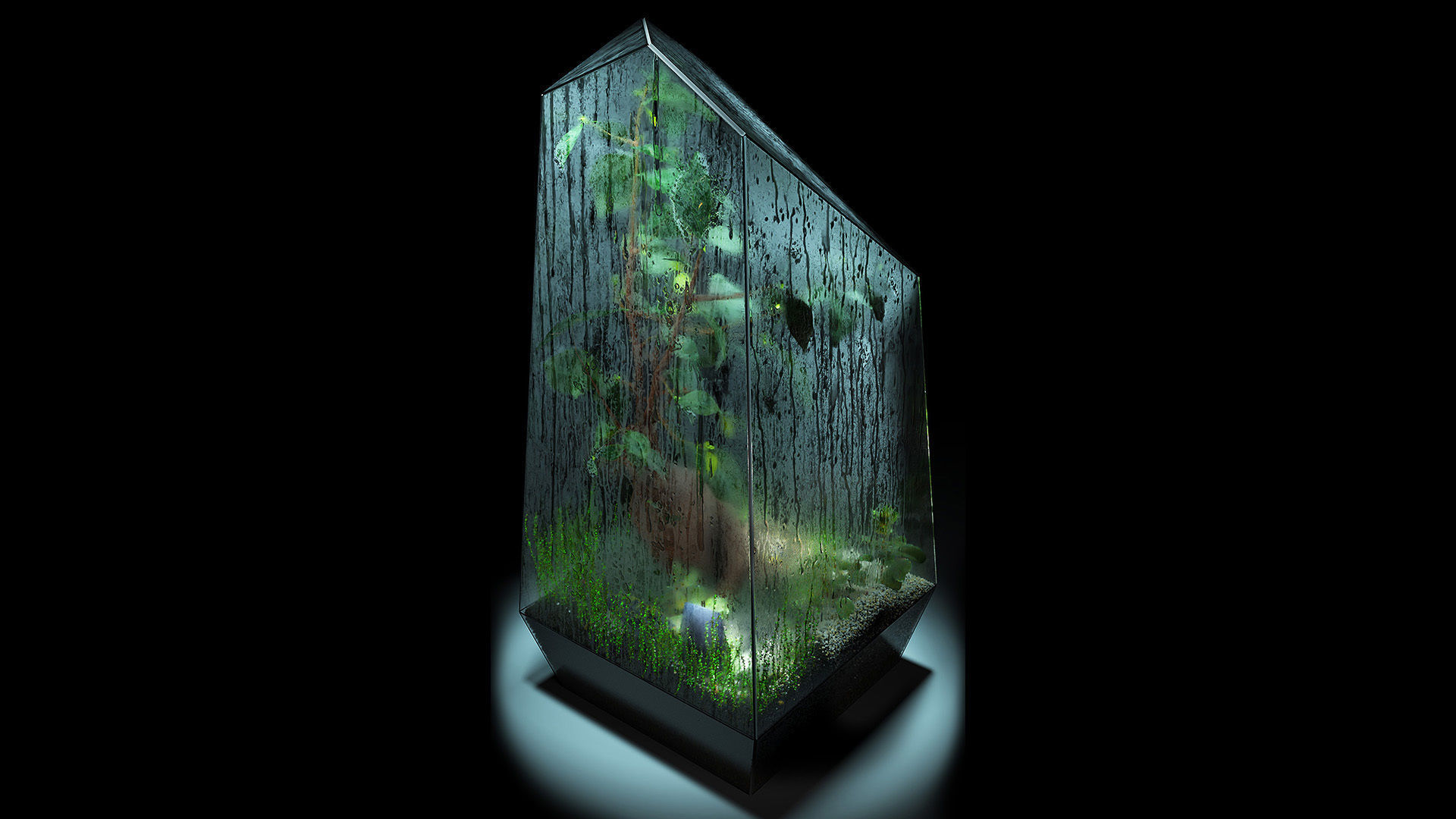 Bonsai terrarium 3D model_6