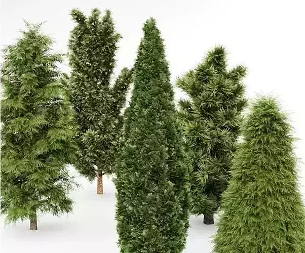 5 Different tree collection 5 trees in the scene 3D model