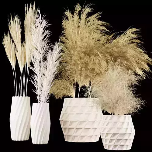 Collection plant vol 59