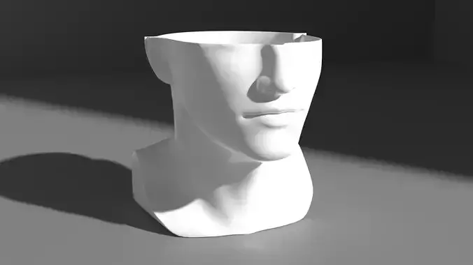 Half head vase