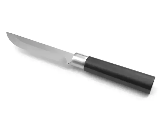 Kitchen knife 24