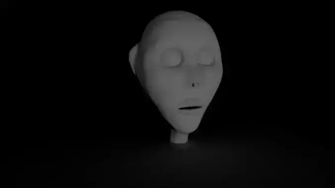 face modeling