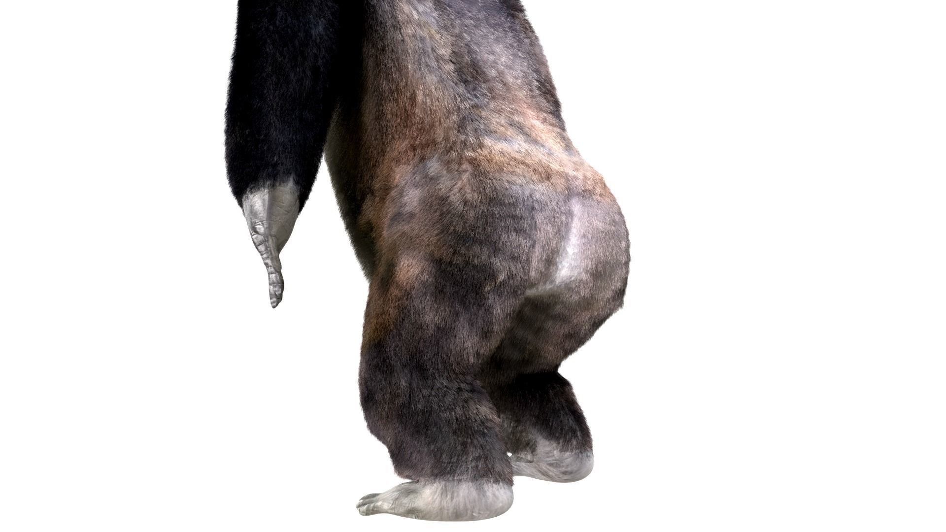 Gorilla Animated blender  Low-poly 3D model_4