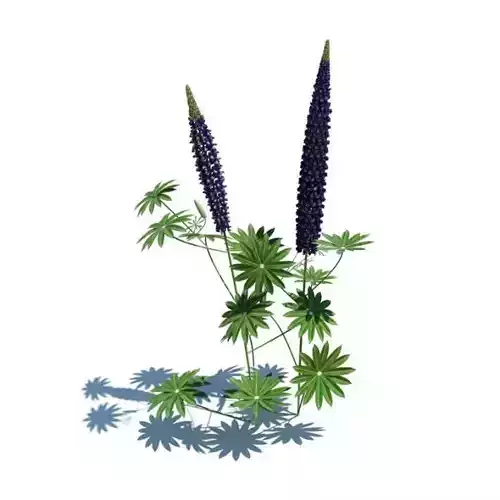 Green Plant With Purple Bloom 3D model