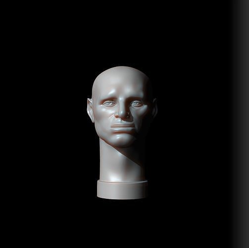 Male Head - John Asaro 3D model