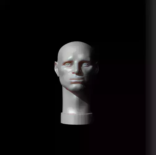 Male Head - John Asaro 3D model
