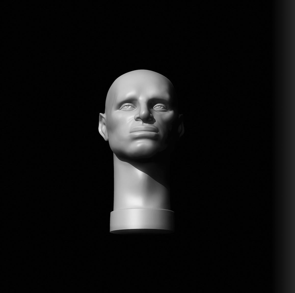 Male Head - John Asaro 3D model_4