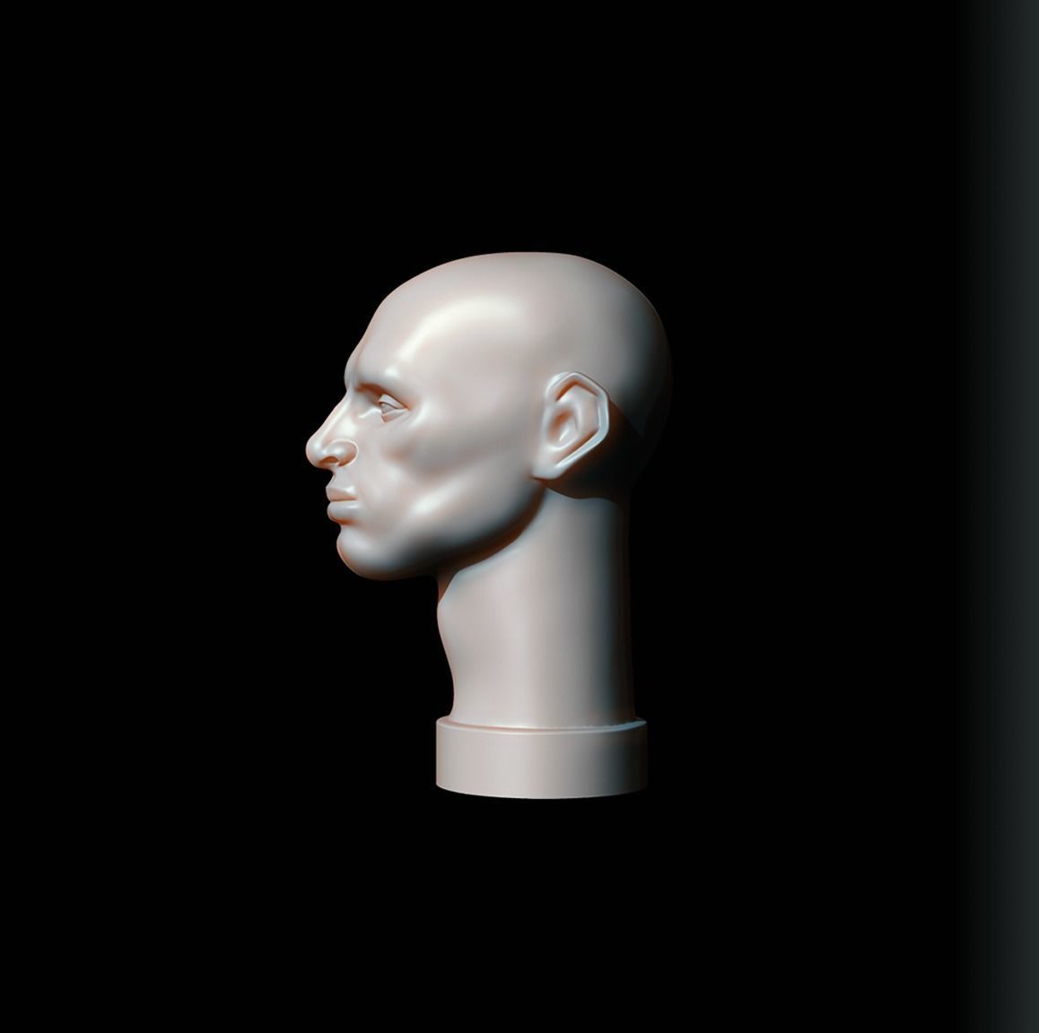 Male Head - John Asaro 3D model_2