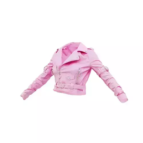 Zipper Hearts Vinyl Jacket 3D model