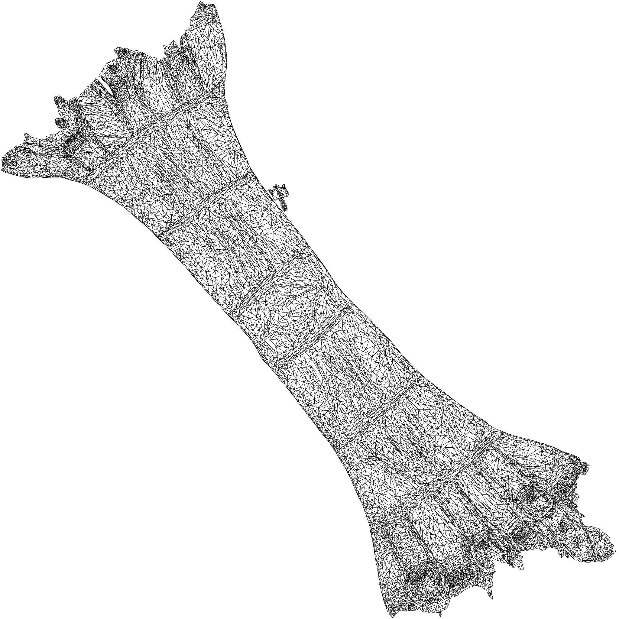 Waspie Corset 3D model_8