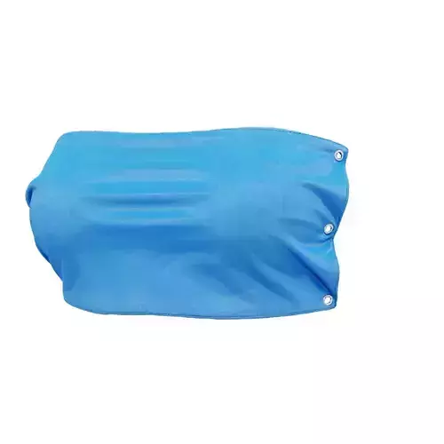 Vinyl Top 3D model