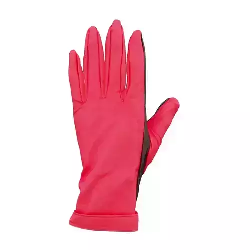 Two Tone Glove 3D model