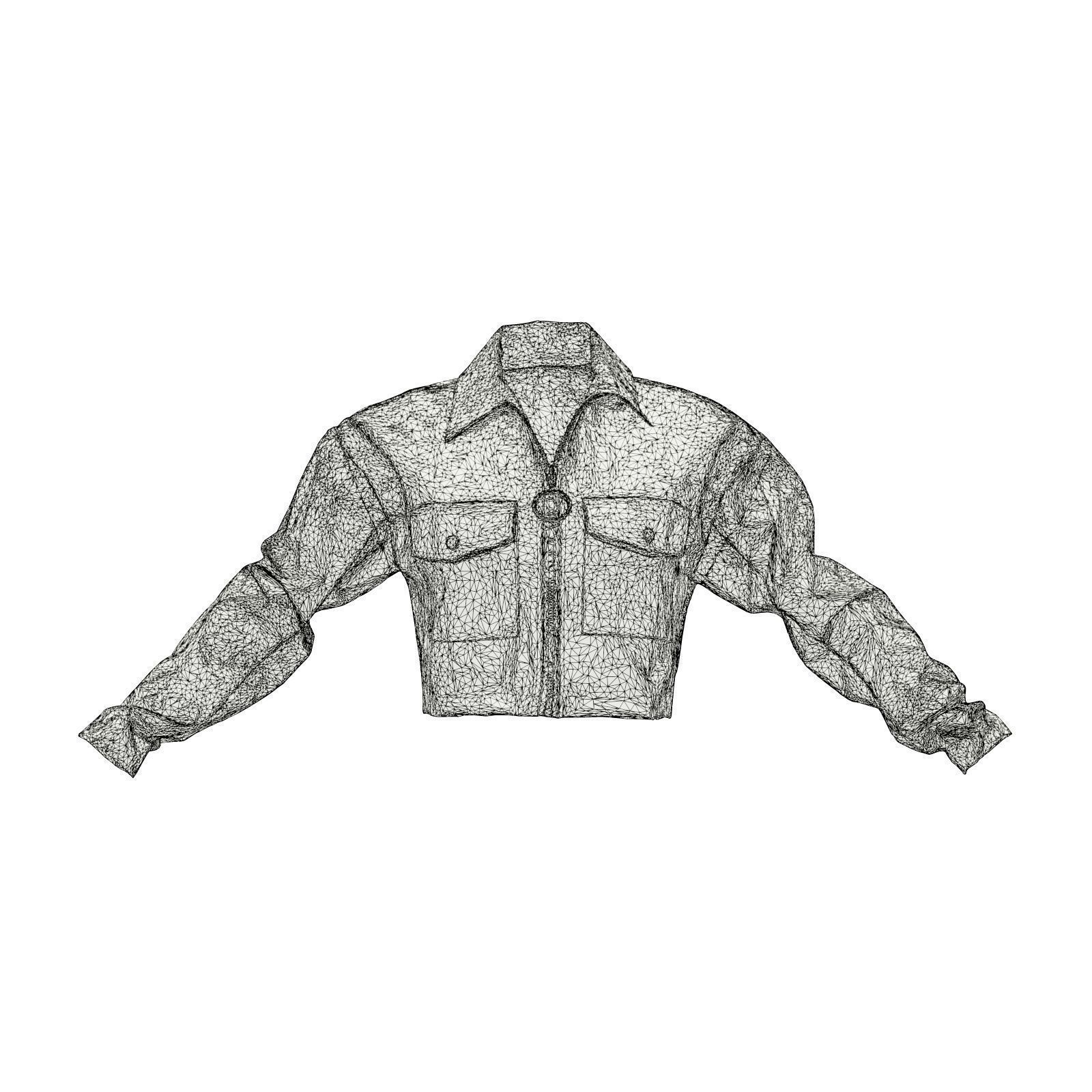 Transparant Plastic Tiger Jacket 3D model_6