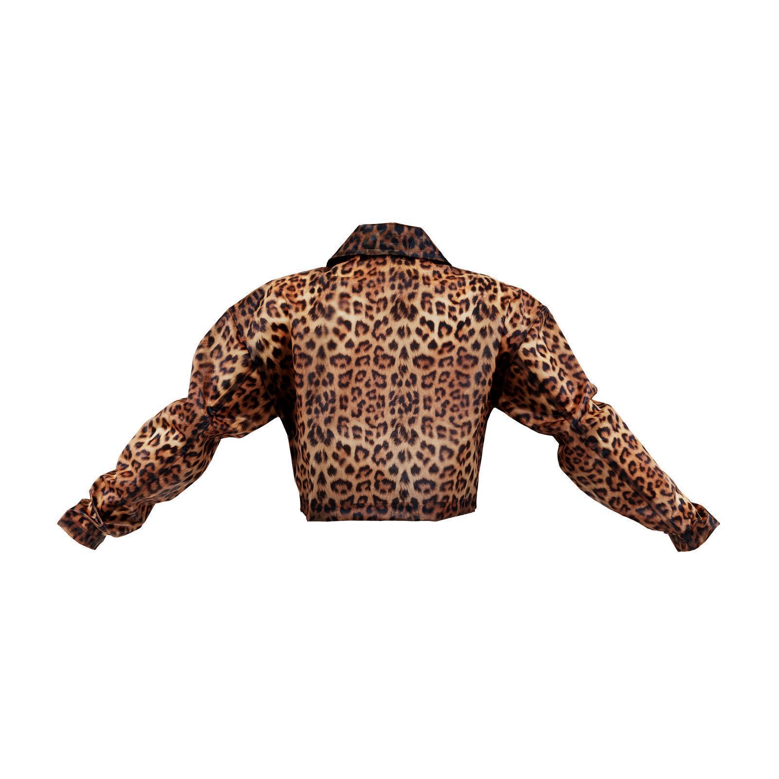 Transparant Plastic Tiger Jacket 3D model_2