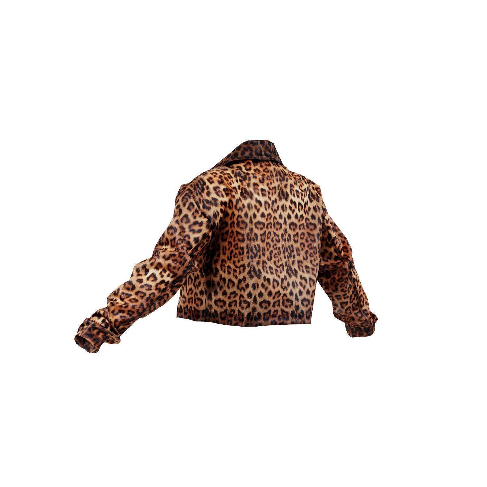 Transparant Plastic Tiger Jacket 3D model_3