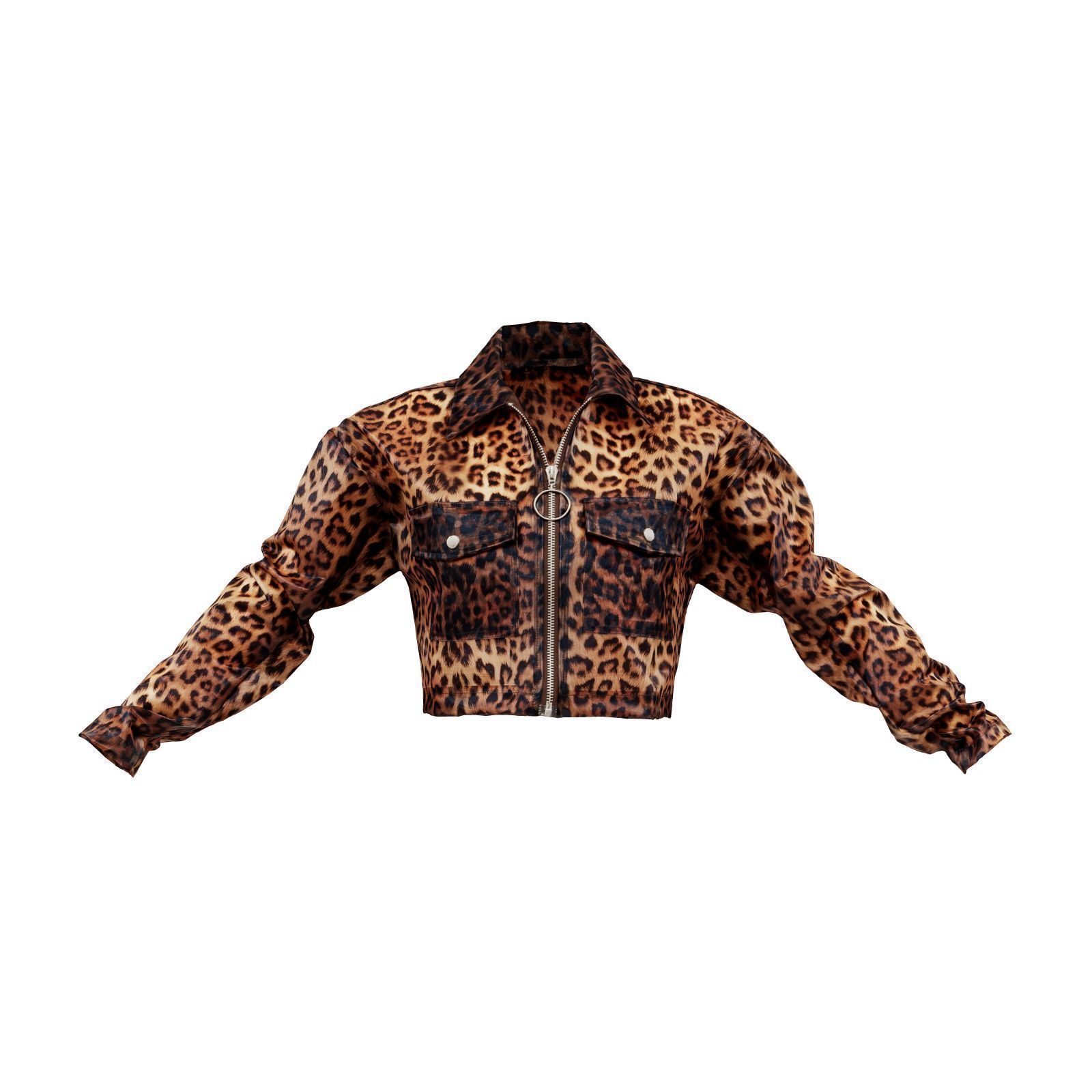 Transparant Plastic Tiger Jacket 3D model_1