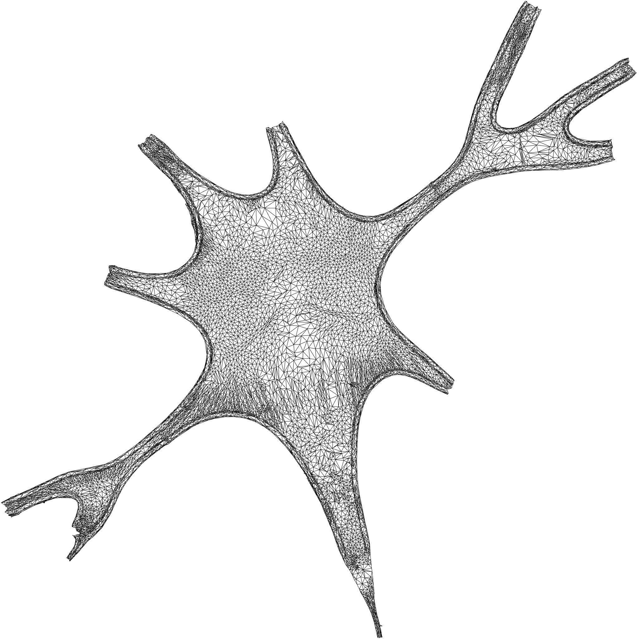 Tight Swimsuit 3D model_8