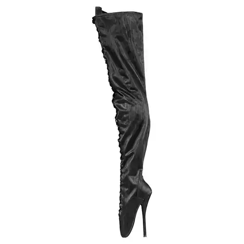Tighhigh Ballet Boots 3D model