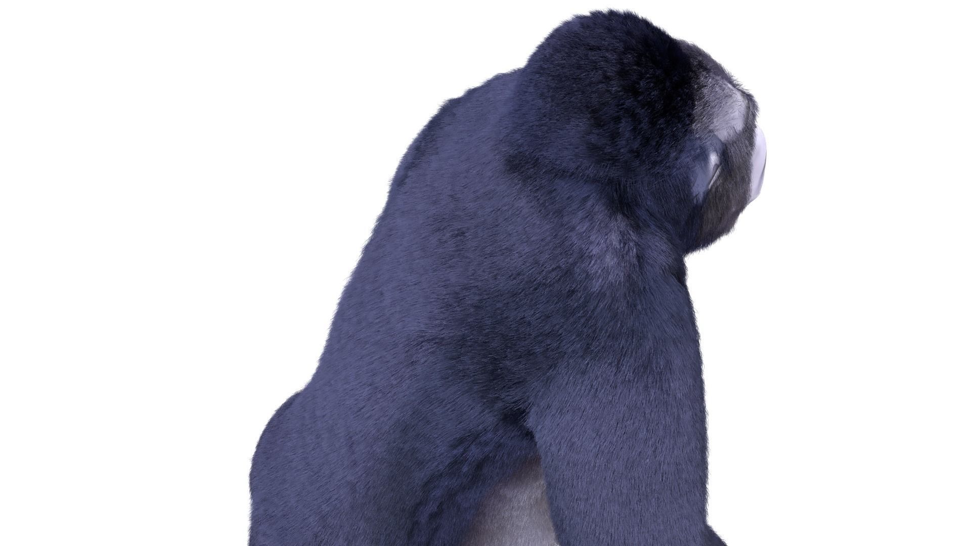 Cartoon Gorilla Animated blender Low-poly 3D model_4