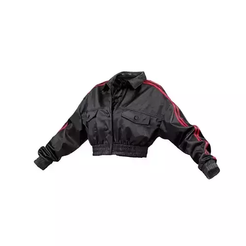 Stripy Leather Jacket 3D model