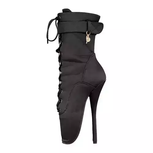 Stiletto Ballet Heels 3D model