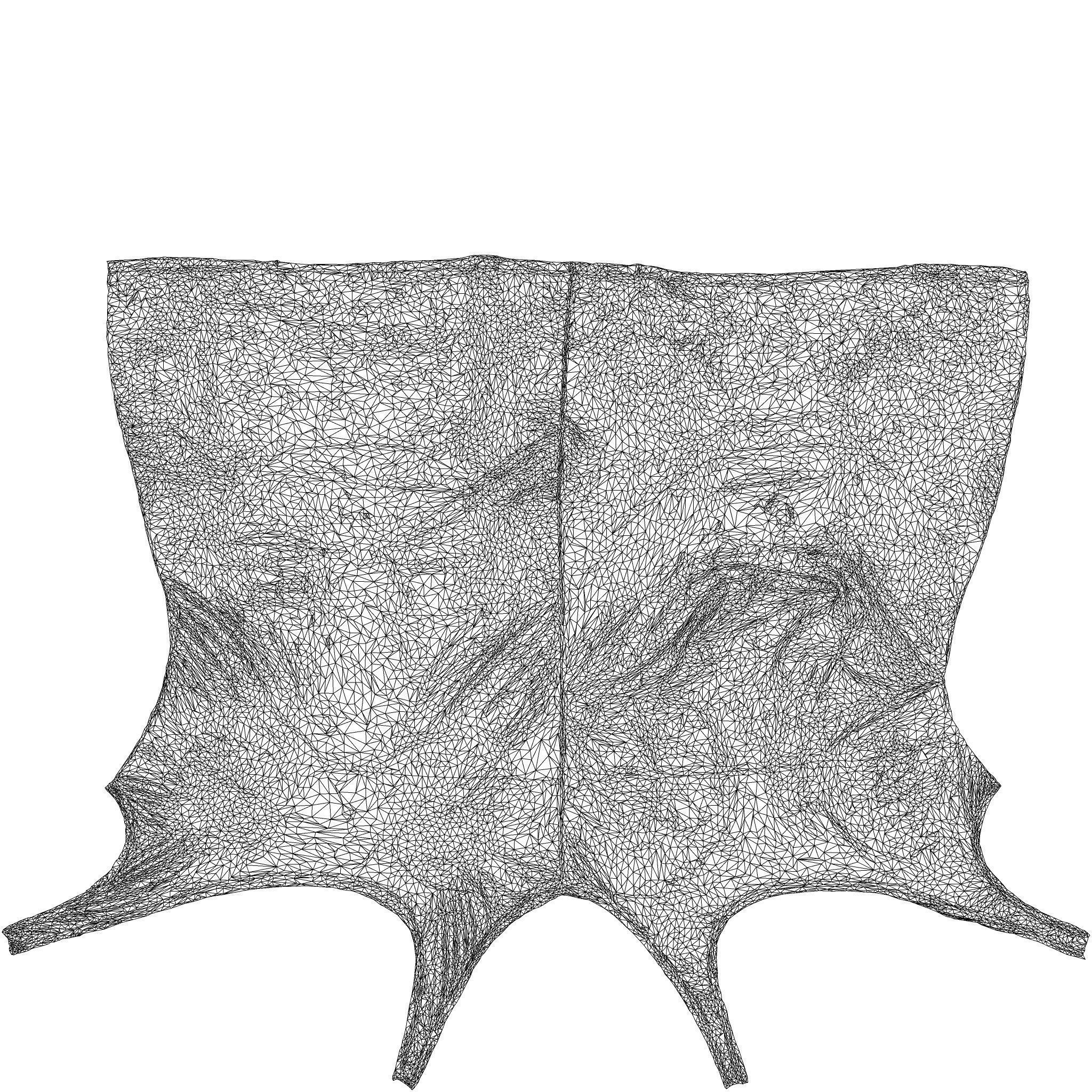 Skull Dress 3D model_8