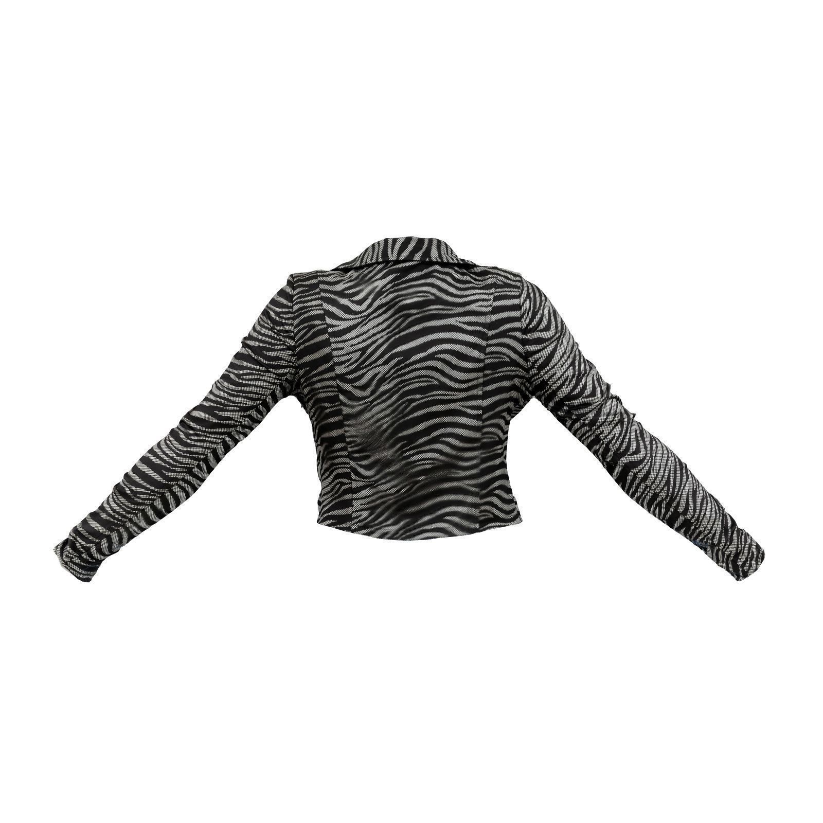 Silver Zebra Jacket 3D model_2