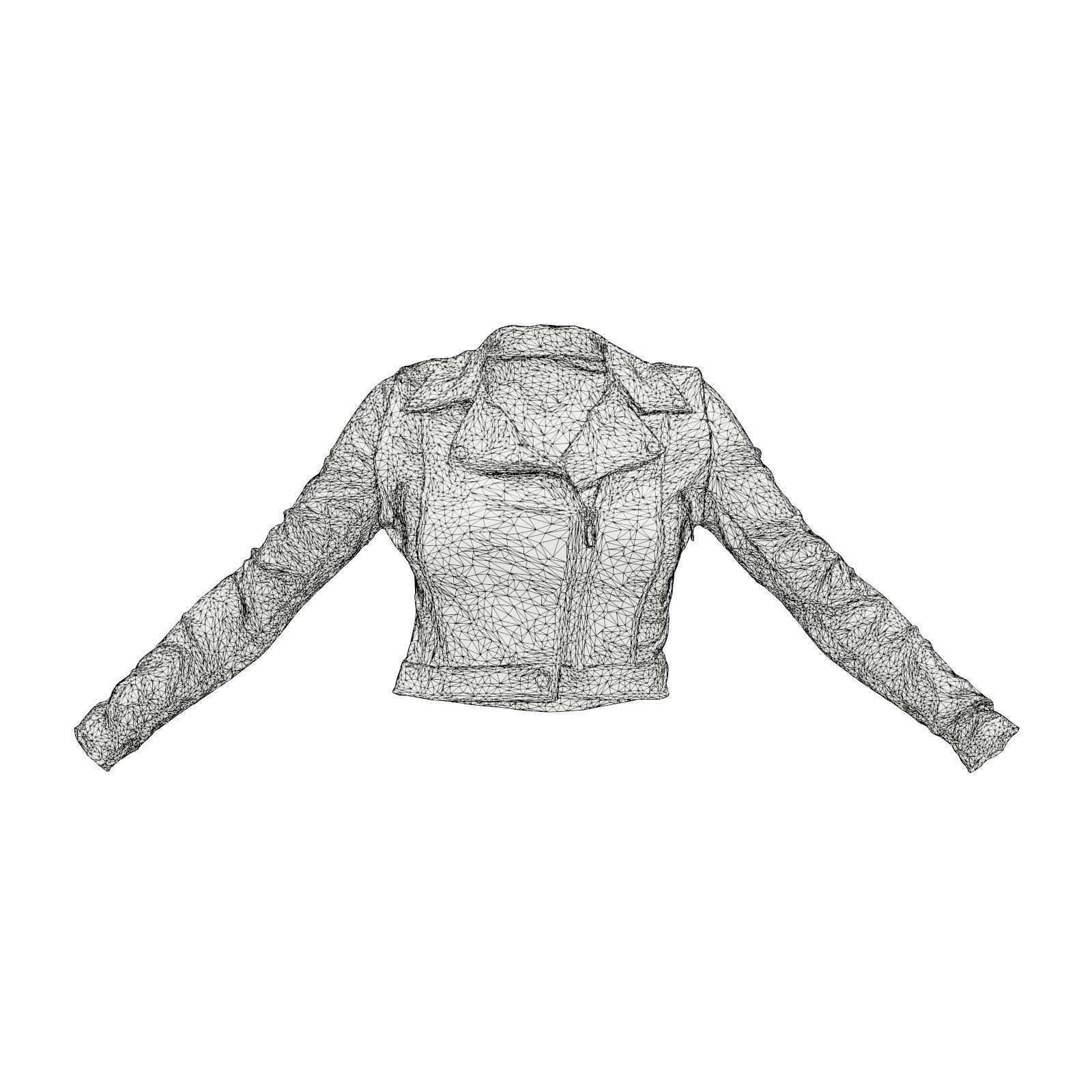 Silver Zebra Jacket 3D model_6