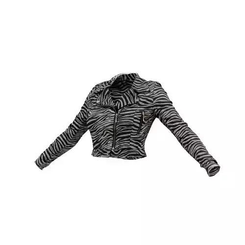 Silver Zebra Jacket 3D model